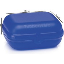 Tupperware Beslenme Kabı Istiridye Midi Taşıma Kutusu Hsgl