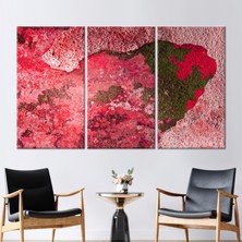 Kayra Export 3 Parçalı Kanvas Tablo Eski Alçı Baskılı Eski Duvar Alçı Duvar Dekoru