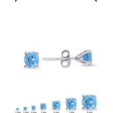 Begonia Accessories 925 Ayar Gümüş Zirkon Tek Taş 1 Çift Küpe