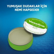 Vaseline Lip Therapy Dudak Nemlendirici Aloe Vera 20 gr