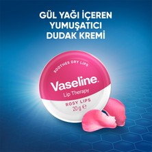 Vaseline Dudak Nemlendirici Gül Özlü 20 gr