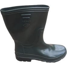 Arısan Arısanyeşilçizme