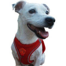 Pawstar Air-Mesh Red Köpek Göğüs Tasması