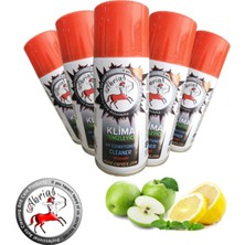 Abrias Klima Temizleyici ve Klima Bombası Limon Elma 5 Adet