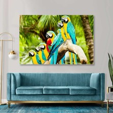 SML Tablo Tropik Orman Macaw Papağanı Kanvas Tablo