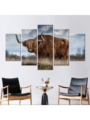 Kayra Export 5 Parçalı Mix Kanvas Tablo Boğa Yayla Inek 3 Boyutlu Kanvas Amerikan Bizon Kanvas Sanatı