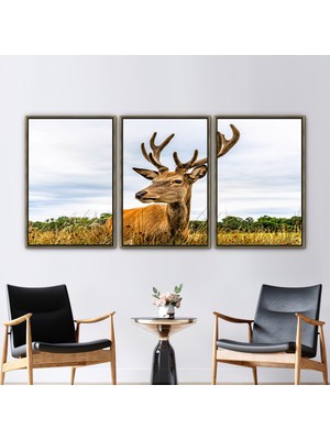 Kayra Export 3 Parçalı Gold Çerçeveli Kanvas Tablo, Vahşi Hayvan Baskılı, Amerikan Geyiği Sanat,