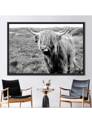 Kayra Export 1 Parça Siyah Çerçeveli Kanvas Tablo Iskoç Yayla Duvar Süsü Manda Sanat Eseri