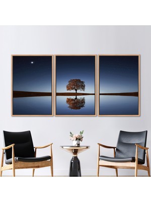 Kayra Export 3 Parçalı Naturel Çerçeveli Kanvas Tablo Uzay Kanvas Poster Ağaç Peyzajı Duvar Süsü