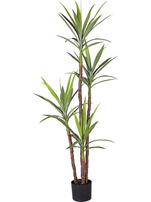 Nettenevime Yapay Ağaç Dracaena Ağacı 4gövdeli 180 cm Premium Kalite