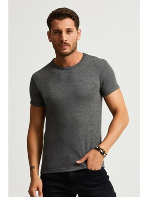 Alexander Gardi Slim Fit Likralı T-Shirt (E22-746A)