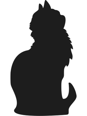 Technopa Kedi Folyo Sticker 50CM Uzunluk