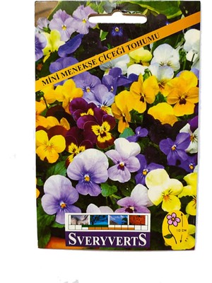 Vipfoni Menekşe Tohumu