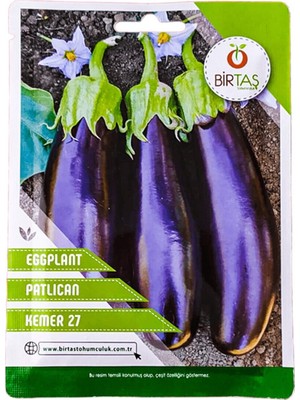 Vipfoni Patlıcan Tohumu Kemer