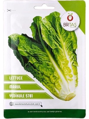 Vipfoni Marul Yedikule- 5701
