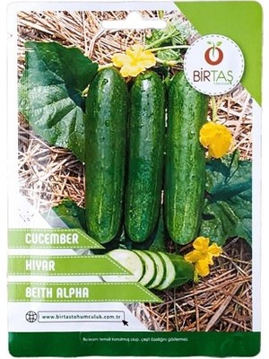 Vipfoni Salatalık (Beith Alpha) Tohumu