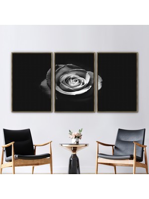 Kayra Export 3 Parçalı Gold Çerçeveli Kanvas Tablo Beyaz Gül Fotoğrafçılığı Gül Baskılı