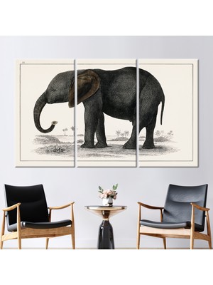 Kayra Export 3 Parçalı Kanvas Tablo Fil Çizimi Fil Sevgili Hediyesi Kanvas Baskı Hayvan Kanvas Dekor