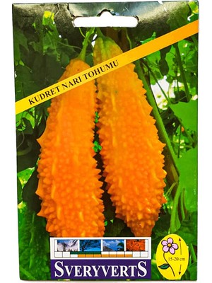 Vipfoni Kudret Narı Tohumu