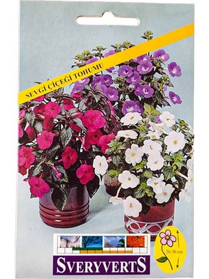 Vipfoni Sevgi Çiçeği Tohumu