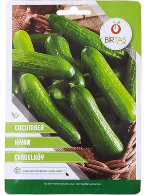 Vipfoni Salatalık Çengelköy Tohumu