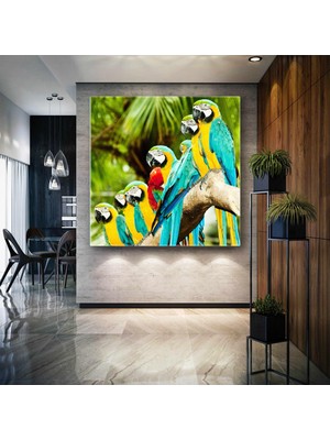 SML Tablo Tropik Orman Macaw Papağanı Kanvas Tablo
