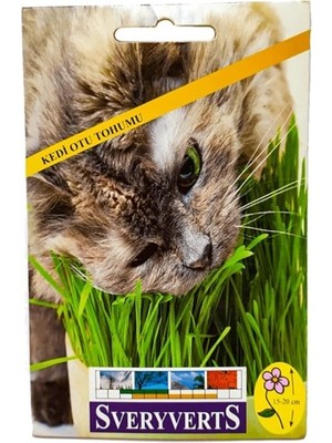 Vipfoni Kedi Otu Tohumu