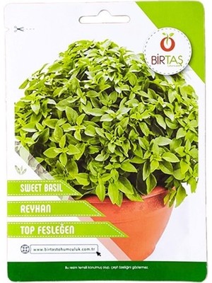 Vipfoni Top Fesleğen Tohumu