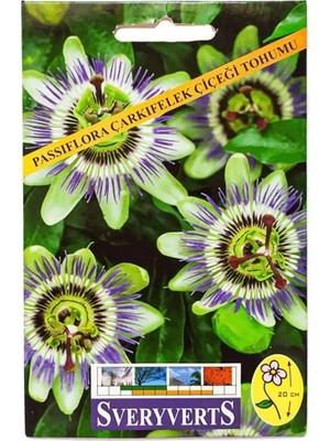 Vipfoni Passiflora Çarkıfelek Çiçeği Tohumu