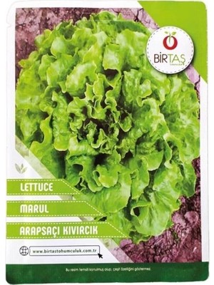 Vipfoni Marul (Arapsaçı) Tohumu