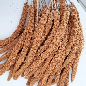 Syy Grup Daldarı 250g
