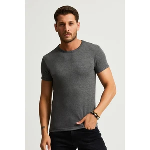 Alexander Gardi Slim Fit Likralı T-Shirt (E22-746A)