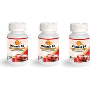 Force Nutrition Vitamin B6 100 Tablet | 3 Kutu