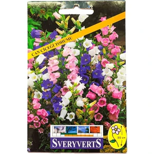 Çan Çiçeği Tohumu