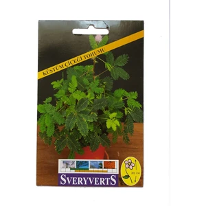 Küstüm Çiçeği Tohumu