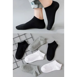 Color Socks 5'li Unisex Patik Çorap Seti