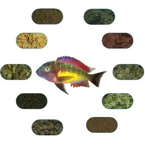 Tropheus Red Rainbow Özel Balık Yem Paketi (6 Çeşit) 50 Gr/Ad
