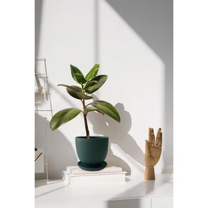 Tabaklı Haki Yeşil Çömlek Saksı 19X19 cm