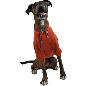 Kiremit Don't Panic Orta- Büyük Irk Köpek Sweati Köpek Kıyafeti