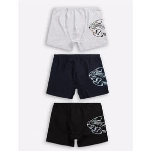 Erkek Çocuk/garson Baskılı Boxer 3'lü Paket 3917 Siyah