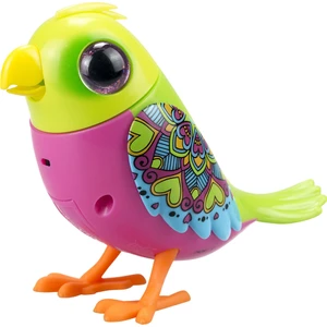 Digibirds Tekli Paket Seri 1 - Model 3