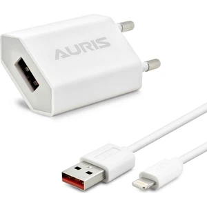 ARS-CH07 İphone Lightning Kablo ve Adaptör Şarj Seti 1.2A İphone Uyumlu Şarj Seti Kablo Dahil