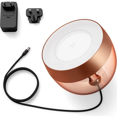 Philips Hue  Iris - Copper (Special