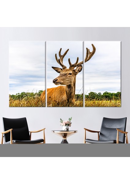 3 Parçalı Kanvas Tablo, Geyik Manzarası Kanvas Poster, Geyik Kanvas, Safari Baskılı,