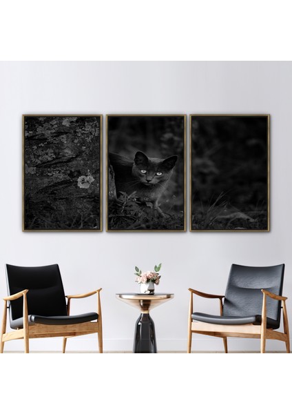 3 Parçalı Gold Çerçeveli Kanvas Tablo, Kara Kedi Fotoğraf Baskısı, Kara Kedi Sanat Eseri,