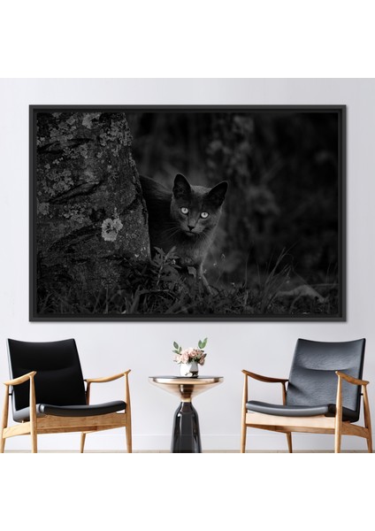 1 Parça Siyah Çerçeveli Kanvas Tablo, Kara Kedi Fotoğraf Baskısı, Kedi Lover Hediyesi Baskılı,