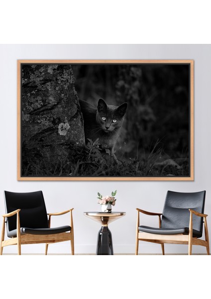 1 Parça Naturel Çerçeveli Kanvas Tablo, Kara Kedi Fotoğraf Baskısı, Kedi Baskılı, Hayvan Posteri,