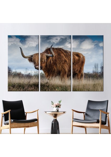 3 Parçalı Kanvas Tablo, Boğa, Sığır 3 Boyutlu Kanvas, Doğa Kanvas Poster, Boğa Posteri,