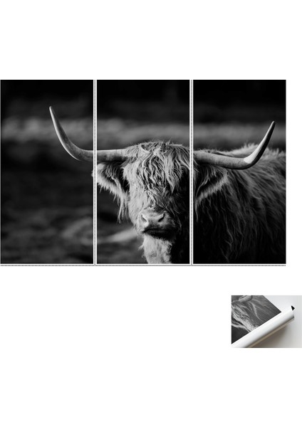 3 Parçalı Poster Kanvas Tablo Öküz Fotoğraf Baskısı Manda Duvar Dekoru Vahşi Inek 3 Boyutlu Kanva