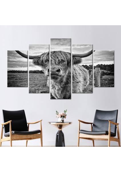 5 Parçalı Mix Kanvas Tablo, Iskoç Highland Sığır Fotoğrafı, Boynuzlu Boğa Duvar Dekoru,